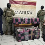 Semar asegura 350 kilos de cocaína valuados en más de 88.4 mdp